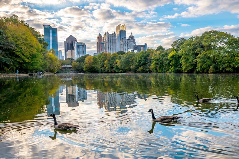 Reflections of midtown Atlanta on a lake with geese in Piedmont Park