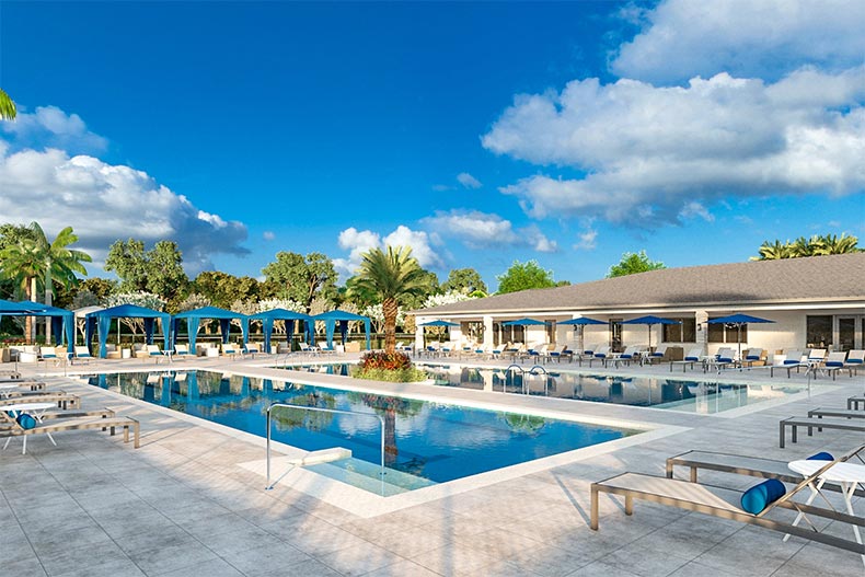 Palm trees surrounding the outdoor pool and patio at Avalon Trails in Delray Beach, Florida