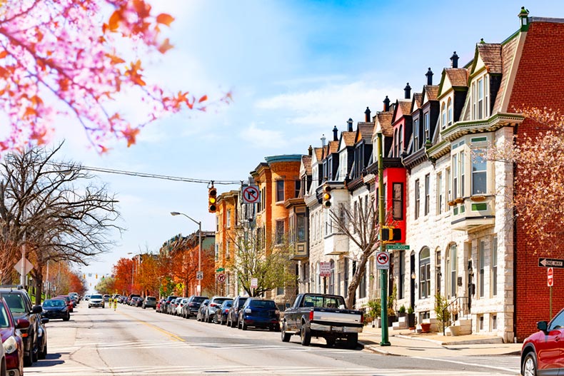 A residential street in Baltimore, Maryland during the spring