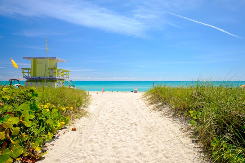 View down a sandy path leading to Miami Beach