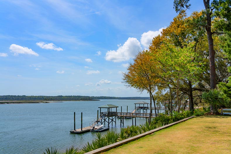 Trees and a dock along the May River in Bluffton, South Carolina.