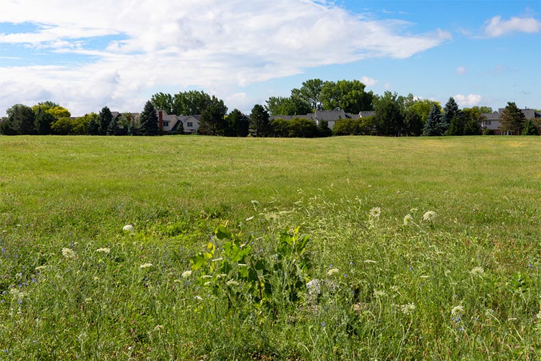 A grass field in Bolingbrook, Illinois during the summer