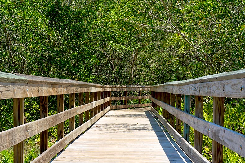 A wooden boardwalk surrounded by subtropical vegetation on a sunny day in Bonita Springs, Florida