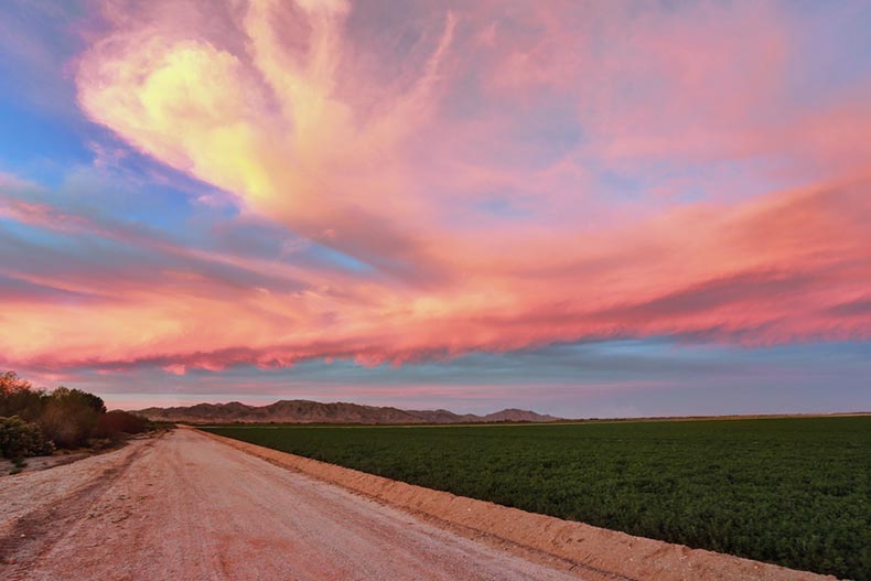 A sunset over a road beside a field in Buckeye, Arizona