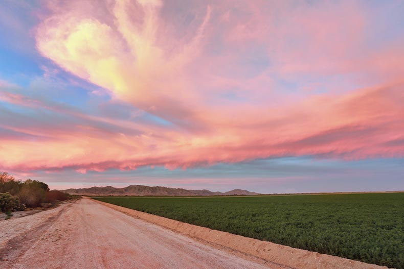 A sunset over a dirt road beside a field in Buckeye, Arizona