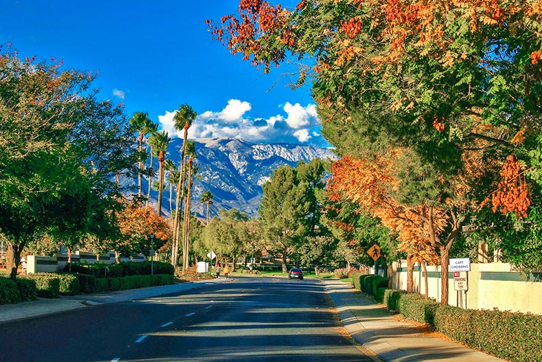 View down a street at Sun Lakes Country Club in Banning, California with mountains in the background