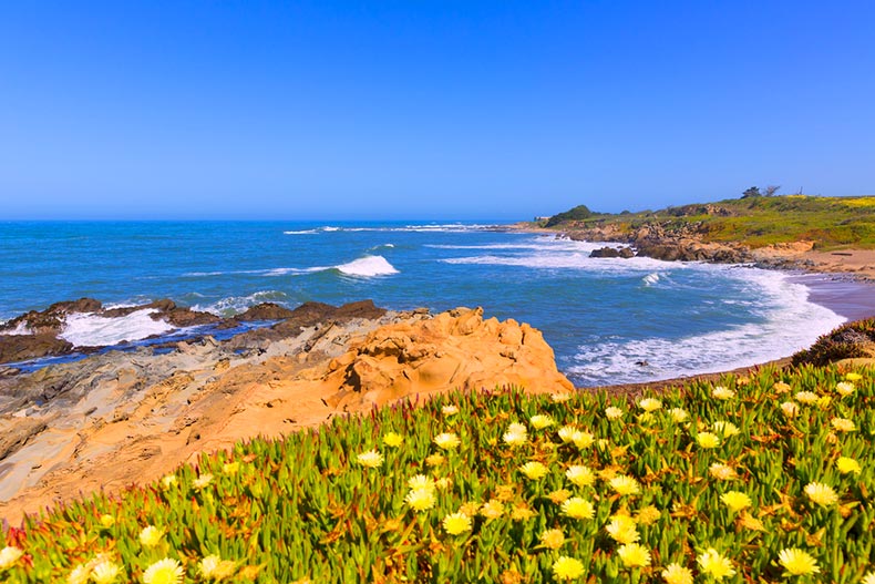 Bean Hollow State Beach in San Mateo County, California