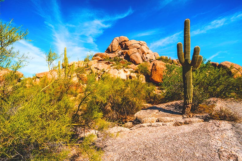 Photo of a cactus on a mountain range in Carefree, Arizona