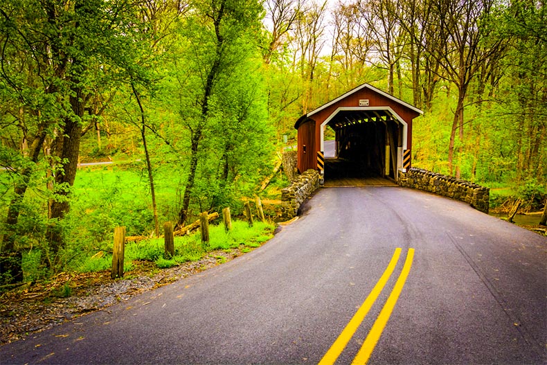 A winding road leading to a covered bridge in the woods of Central Pennsylvania