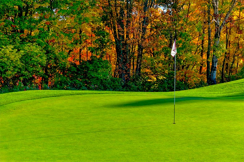 The 5 Best Golf Courses in Charlotte, NC  55places