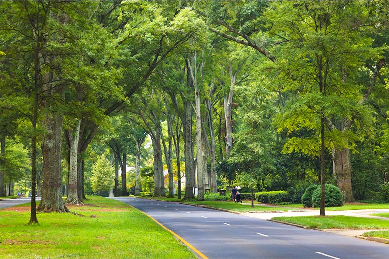 The Most Affordable Retirement Communities Near Charlotte, NC | 55places