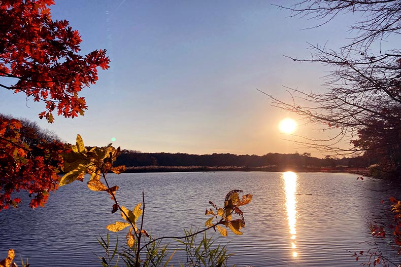 Sunset over a lake in Cheesequake State Park in New Jersey