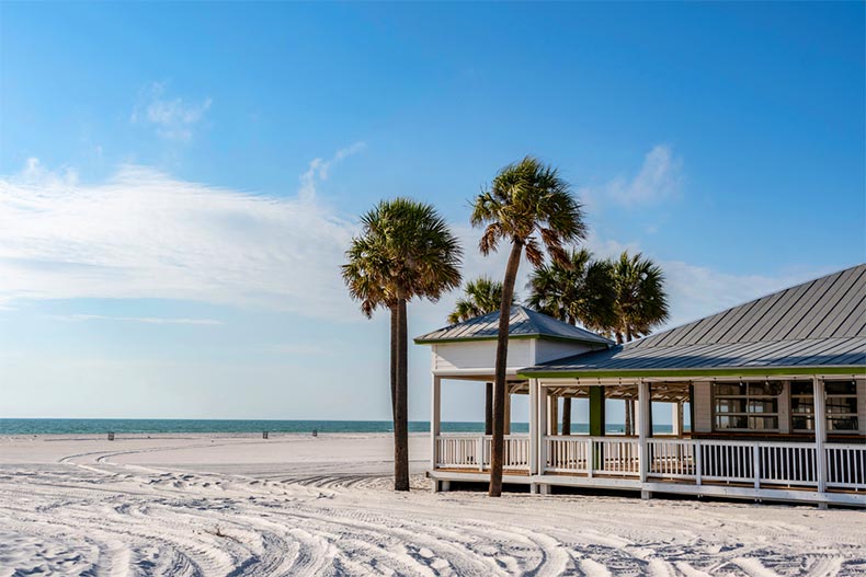 Palm trees around a beachside restaurant in Clearwater, Florida