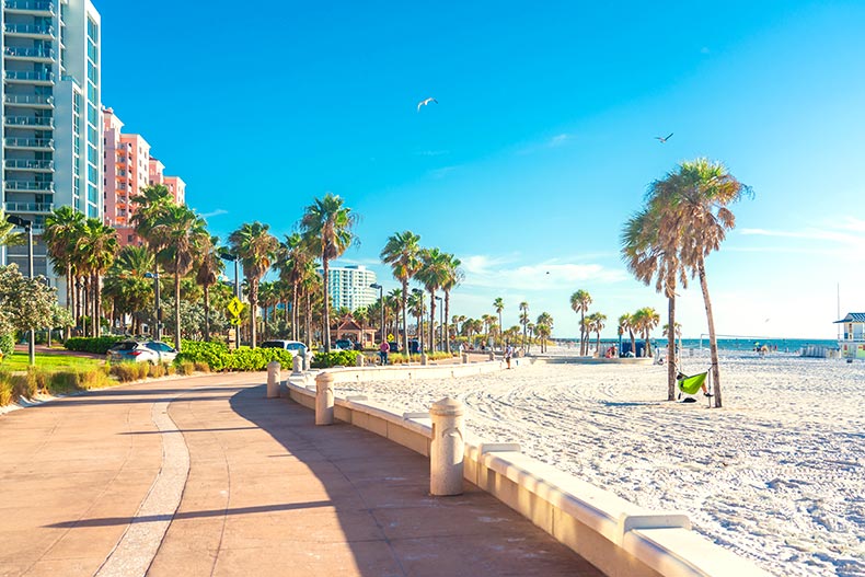 View of as a sidewalk running along a beach in Clearwater, Florida with palm trees, seagulls, and some beachgoers