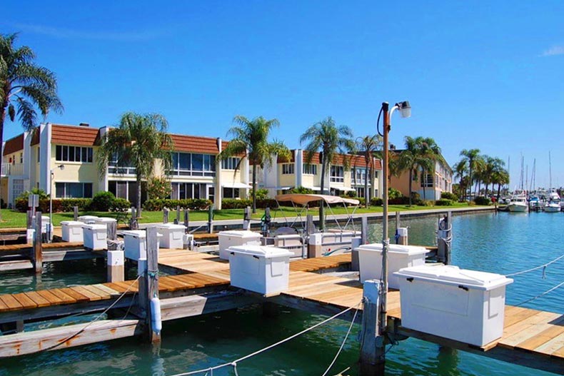 Palm trees beside the docks at Colonnades at Fort Pierce in Fort Pierce, Florida