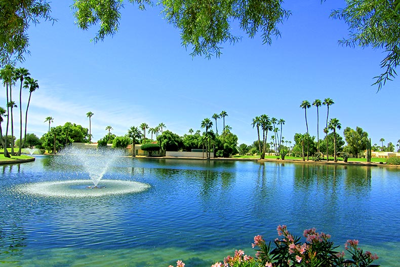 A community lake in Fountain of the Sun with a flowing fountain in the center, surrounded by greenery and pink flowers, located in Mesa, Arizona