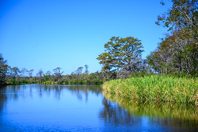 Photo of the Waccamaw River in Conway, South Carolina