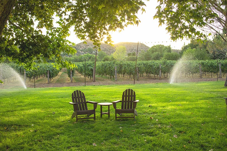 Photo of two lawn chairs overlooking a tree orchard in Cornville, Arizona