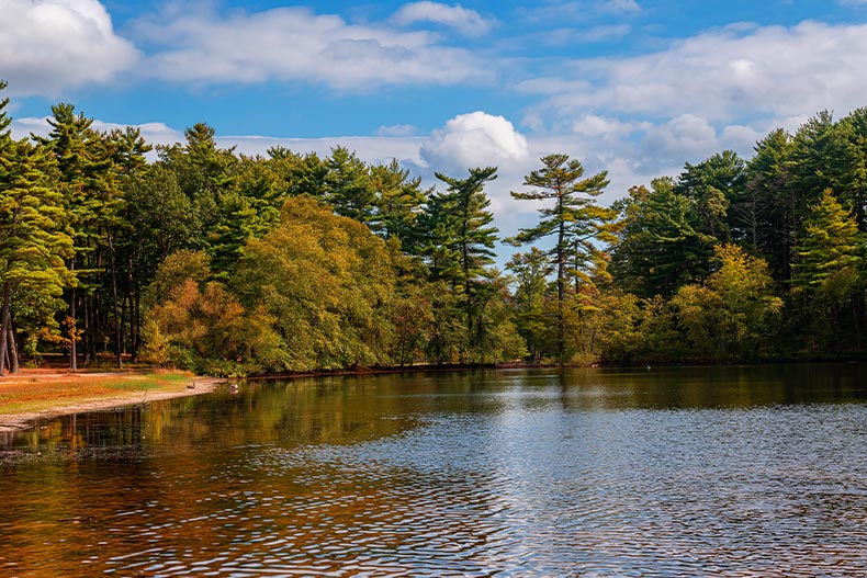 Photo of a lake with a beach next to a forest in Ocean County, New Jersey