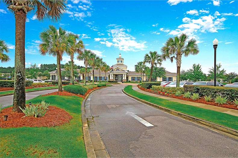 Palm trees lining the road to the entrance of Del Webb at Cane Bay in Summerville, South Carolina