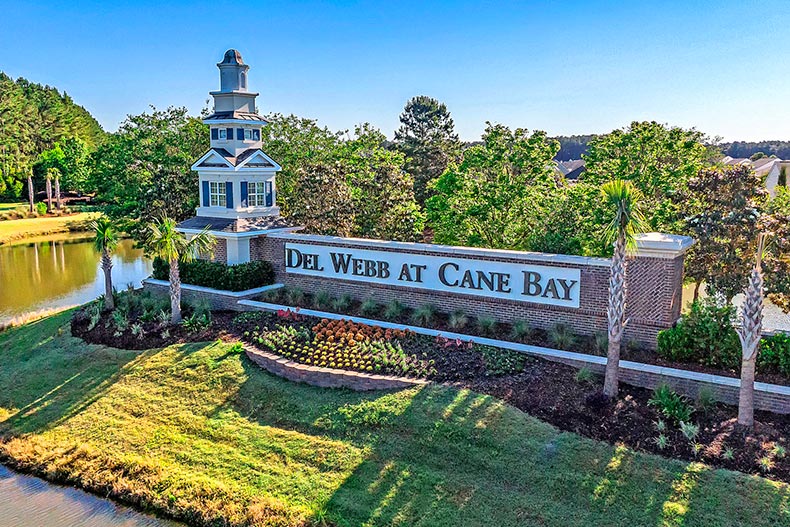 Aerial view of the greenery surrounding the community sign for Del Webb at Cane Bay in Summerville, South Carolina