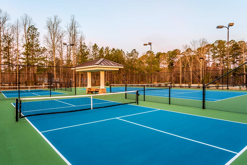 Four blue and green pickleball courts with a covered bench in between, located in Del Webb at Traditions in Wake Forest, North Carolina