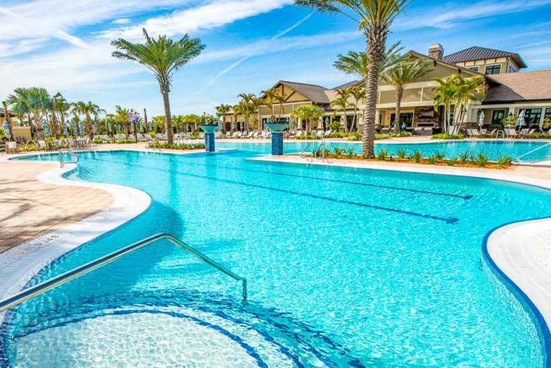 Palm trees around the outdoor pool at Del Webb Lakewood Ranch in Lakewood Ranch, Florida