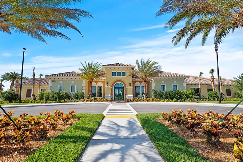 Palm trees surrounding the entrance to Del Webb Naples in Ave Maria, Florida