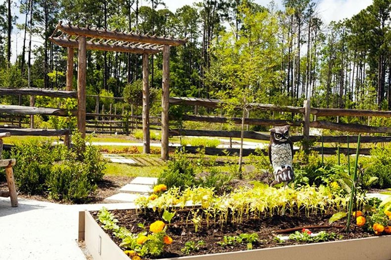 View of Central Park and community garden at Del Webb Ponte Vedra in Ponte Vedra, Florida