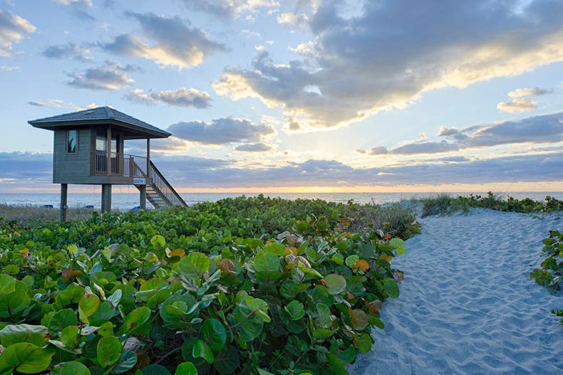 A lifeguard station surrounded by vegetation on Delray Beach, Florida