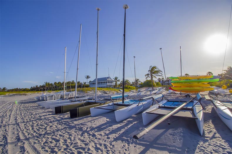 Boats on a beach surrounded by palm trees