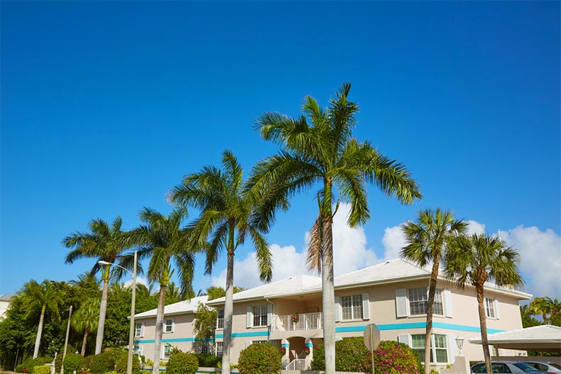 A house surrounded by palm trees in Delray Beach, Florida