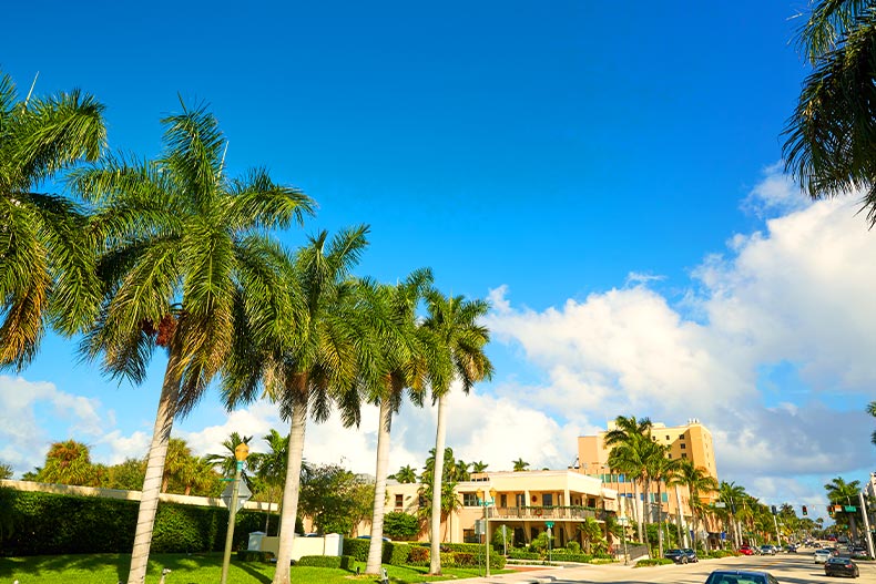 View of palm tress lining a street in Delray Beach, Florida with a hotel building and cars in the background