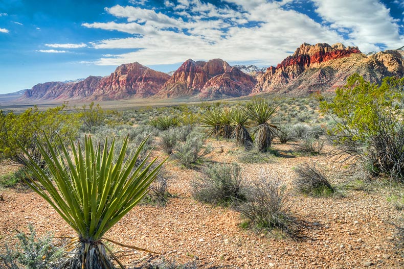 Mountains and desert landscape in Red Rock Canyon National Conservation near Las Vegas, Nevada
