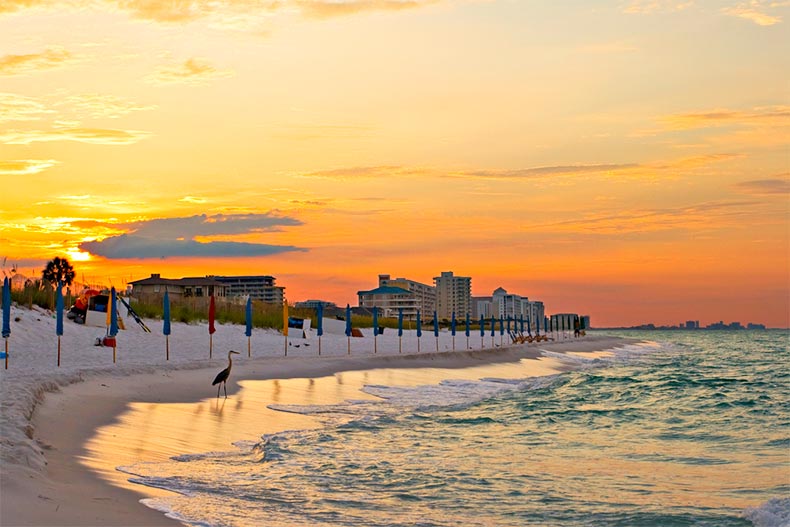 The 5 Best Florida Gulf Coast Beaches for Active Adults | 55places