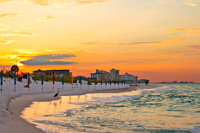 the-5-best-florida-gulf-coast-beaches-for-active-adults-55places