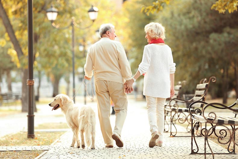 A senior couple walking their dog in a park