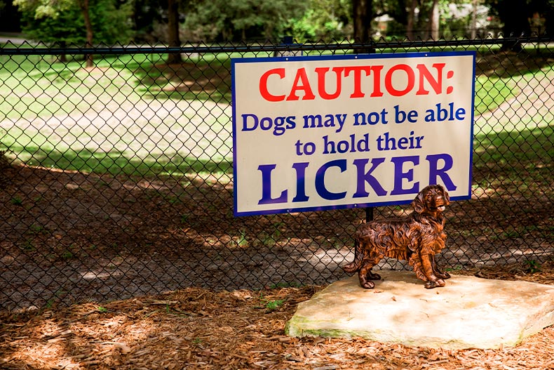 A bronze golden retriever statue in front of a gate with a sign reading "Caution: Dogs may not be able to hold their licker" with licker spelled as the verb "to lick," located in Oak Run, Ocala, Florida