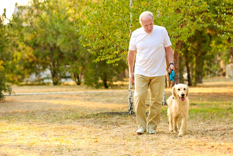 Senior man walking a dog in a park