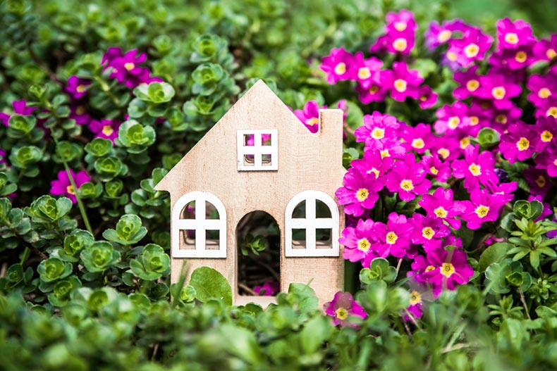 A tiny, wooden house surrounded by primroses
