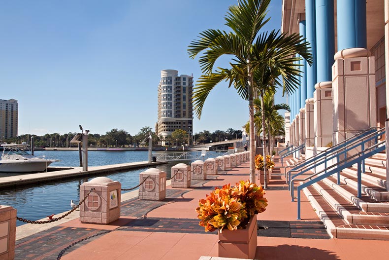 Palm trees along a walkway beside the water in Downtown Tampa, Florida