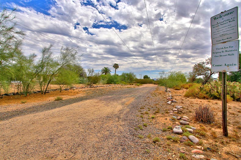 A dirt road with desert greenery in Dreamland Villa, located in Mesa, Arizona