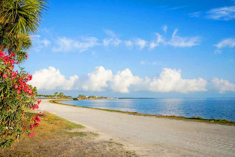Blue sky over the shore of the Dunedin Causeway connected to Honeymoon Island in Dunedin, Florida
