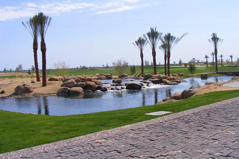 Palm trees beside a pond on the grounds of Encanterra in Queen Creek, Arizona