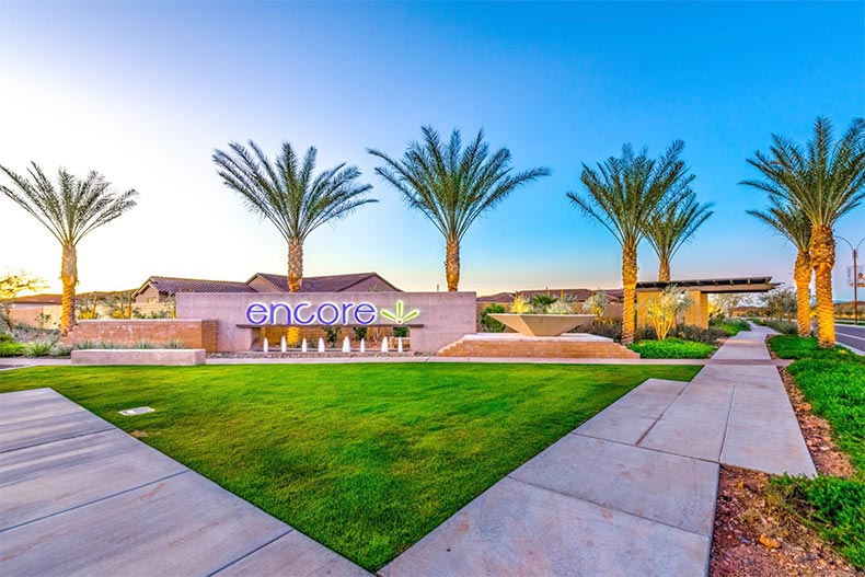 Palm trees surrounding the community sign for Encore at Eastmark in Mesa, Arizona
