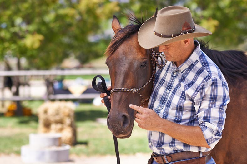 An older man with his horse in an equestrian retirement community