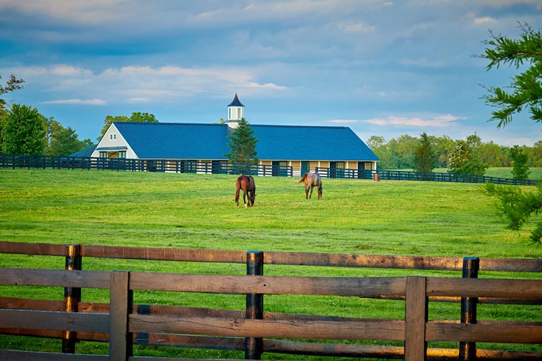 Beautiful scenery in an equestrian retirement community includes stables for residents to board their horses