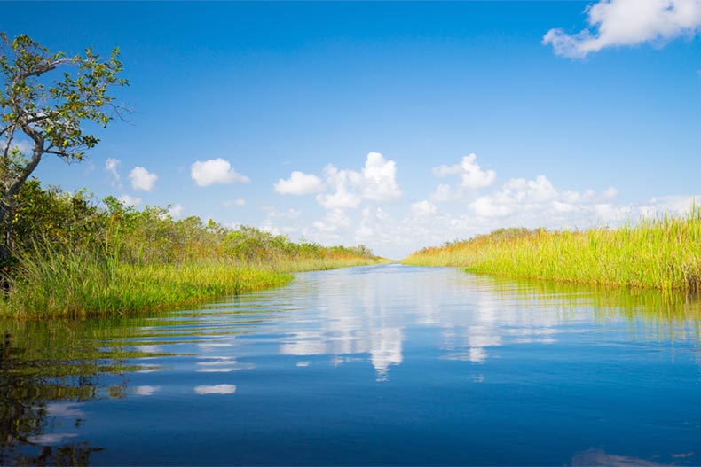 Calm water surrounded by green swamp grass at Everglades National Park in Florida