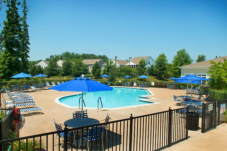 Lounge chairs and tables surrounding the outdoor pool at Falls Run in Fredericksburg, Virginia