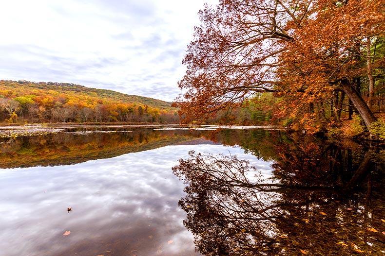 Autumn trees hanging over a lake in Laurel Lake Recreational Area, Fayetteville, Pennsylvania